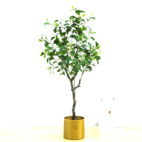 Simulated plant Douban tree, simulated green plant potted plant bonsai
