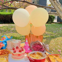 野餐用品必備網紅氣球裝飾ins桌飄春游拍照道具生日派對場景布置