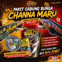 PAKET PAKAN PROGRESS BUNGA Channa Maru ys red pemecah cabung & Bunga Solid xtra melanin guanin