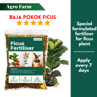 Agro Farm Ficus Fertilizer / Fiddle-Leaf Fig Fertilizer / / Baja Tumbuh