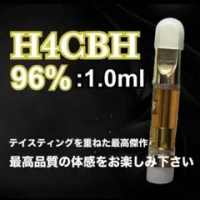 h4cbnの価格比較なら-2025年11月 | BigGo日本