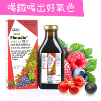 歐洲屋 德國草本液-Floradix鐵元1入組(共250ml-植物液態鐵)