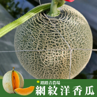 【十翼饌選果】踏踏青農場 綠肉網紋洋香瓜x4盒入(2顆/5.5台斤/盒_黑貓常溫配送_哈密瓜)