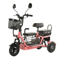 High Quality Electric Delivery Bike 500W 20Ah Lead Acid Battery 3 Wheels Scooter Bike Mini Family Electric Tricycle