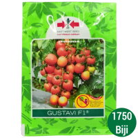 Benih Tomat Gustavi F1 @1750 butir
