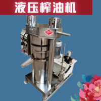[台灣公司貨 可開發票]榨油坊專用芝麻油核桃油壓榨機 韓式液壓香油機 榨油機芝麻油機械