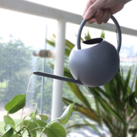 【JEN】不鏽鋼手提球型灑水澆花壺1000ML(2色可選)