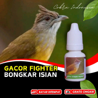 Vitamin Burung Kapas Tembak Rol Tembak Gacor
