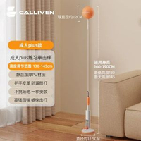 拳擊速度反應球室內立式訓練球家用沙包練武術拳靶速度球拳擊球