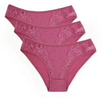 Young Girls Women Cotton Panties,Sexy Lace Underwear,See Thru Woman Panty,Intimates Women's Briefs,High Cut Female Underpants