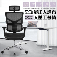 Ergoking 全功能加大網布人體工學椅 171 S Plus(辦公椅)