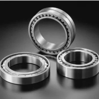 S-K-F cylindrical roller bearing BC1-0738A 40mm X 80.2mm X 18mm