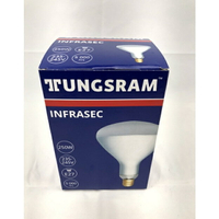 TUNGSRAM 250W 220V 玻璃殼 紅外線 保溫燈泡 食品加熱保溫燈泡 食物用保溫燈泡 E27