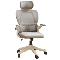 Luxury Ergonomic Office Chair Back Gaming Computer Aesthetic Desk Chair Boys Comfy Decoration