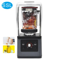 Factory Direct Sale High Power Food Machine Commercial Ice Cream Blender and Mixer Juicer Blender Smoothies Maker