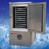 Hot Sale CYLD-300L commercial blast freezer for fish sale