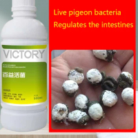 Meat Pigeon Racing Pigeon Homing Pigeon Diarrhea Diarrhea Green Stool Gastrointestinal Probiotics 500ml Help Digestion and Promo