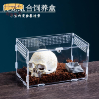 工廠直銷 爬蟲箱 壓克力爬寵飼養箱 拼裝款小型飼養盒 造景飼養箱 高透觀賞盒 豹紋守宮睫角肥尾鬆獅蜥蜴角蛙螳螂蜘蛛蛇新店開業 全館折扣 售後保障 優選/免運