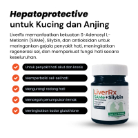 Liverrx/Supplemen Liver/Obat Liver