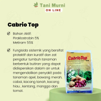 Q&J Fungisida Untuk Mencegah Kekek & Ngoser Cabrio Top 250 Gram SalePi430