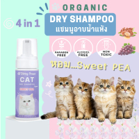 Dirty Paws โฟมอาบน้ำแห้งแมว ออร์แกนิค 4in1 กลิ่น SWEET PEA หอมนาน หอมลืม
