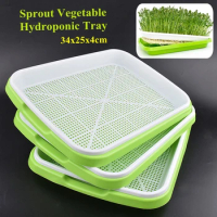 Plants Germination Nursery Tray Home Vegetable Bean Seed Hydroponic Sprouter Cat Grass Wheatgrass Sprouting Pot Garden Planter