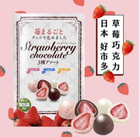 【Cutie Daily】日本好市多限定 草莓巧克力球（三口味綜合組）