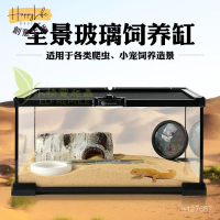 工廠直銷 玻璃飼養箱 爬蟲缸 爬蟲飼養盒 爬蟲箱 爬寵箱 全景箱 豹紋守宮睫角肥尾鬆獅蜥蜴角蛙螳螂蜘蛛蛇變色龍生態缸新店開業 全館折扣 售後保障 優選/免運