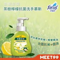 【茶樹莊園】茶樹檸檬抗菌洗手慕斯(500g/瓶)  洗手乳