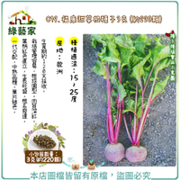【綠藝家】C19.福康甜菜根種子3克(約220顆)