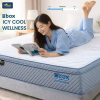 Elephant Ebox Icy Cool Wellness / Kasur Springbed In a Box Pocket Spring Tanpa Sprei 180 x 200