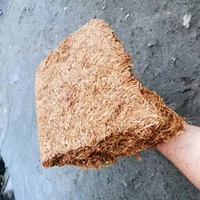 Kasturi Khas lombok Kasturi Senang