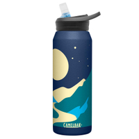 《CamelBak》750ml eddy+不鏽鋼多水吸管保溫瓶(保冰) 眾星拱月