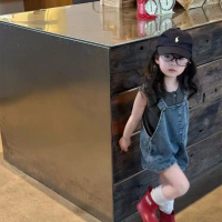 Set Baju Musim Panas untuk Kanak-kanak Perempuan, Ketibaan Baru 2025, Rompi Serbaguna Bayi Perempuan