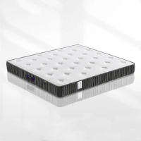 Latex Mattress New Antibacterial and Anti mite Surface Soft and Hard Dual Use Spring Silent Mattress