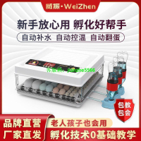 【限時優惠】👏孵化機 小型孵蛋器 全自動孵蛋機 水床孵化器小型家用小雞鴨鵝蛋孵化機全自動孵蛋器智能迷你孵蛋箱  👏