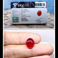 Batu Natural Red Carnelian Chalcedony / Red Baron Plus Memo