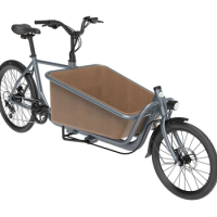 EU Warehouse ebike Cargo OASIS 260 ADO Electric Cargo ebike Bike Family Bicycle Electric Hybrid City Road Bike