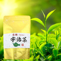 日本藤二 嚴選宇治煎茶茶包4g/20枚