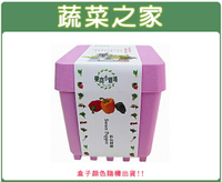 【蔬菜之家004-D02】iPlant小農場系列-彩色甜椒
