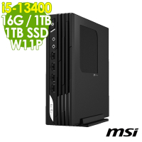 MSI PRO DP21 13M-494TW (i5-13400/16G/1TSSD+1TB/W11P)