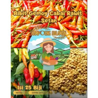 Bibit Gemoy Cabai Rawit Setan |Benih Cabe Setan|Cabai Rawit