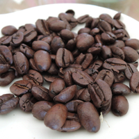 台南東山咖啡原豆(半磅/包)  [亮亮農產品]