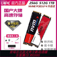 【公司貨 最低價】七彩虹m2固態硬盤cn600 256g 512g 1t  nvme 臺式機筆記本高速ssd