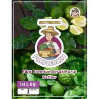 Bibit Premium Jeruk Purut Kaffier | Biji Benih Jeruk Purut Rempah | Jeruk Purut Herbal