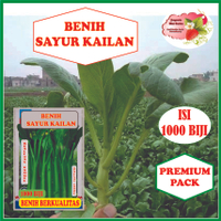 BENIH SAYUR KAILAN ISI 1000 BIJI