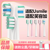 Kepala Berus Gigi, 1548 Keping, Serasi dengan Usmile Smile Plus, U2S / P1 / Y1S / U3 / P10Y1 / U1 /