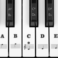 Piano Key Sticker Keyboard Stickers 37/49/54/61/88