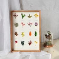 熱賣預購－乾燥花束相框5 植物標本擺飾 掛牆 創意手工復古飾品