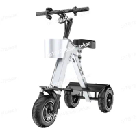 Adult Folding Electric Tricycle with Removable Basket 36V 450W Mini Portable 3 Wheel Electric Scooter with Camping Trailer